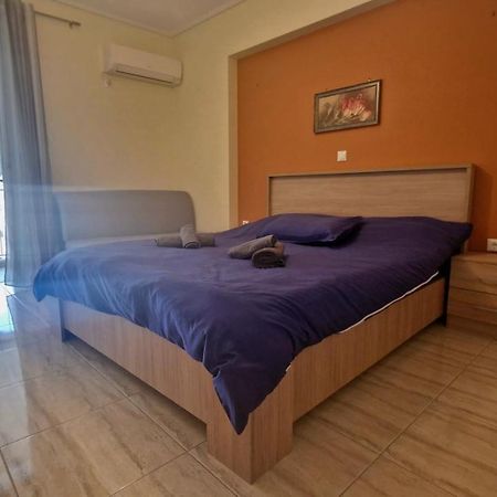Athens Luxury Home * Private Parking * Attica Metro Station 外观 照片